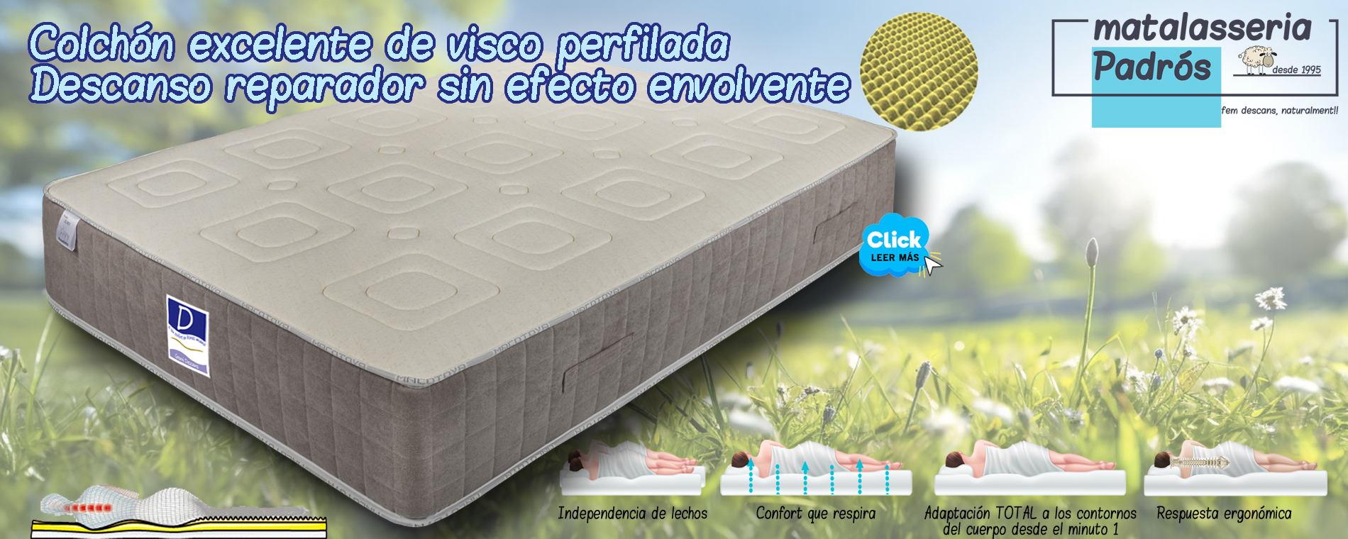 Viscoelástico