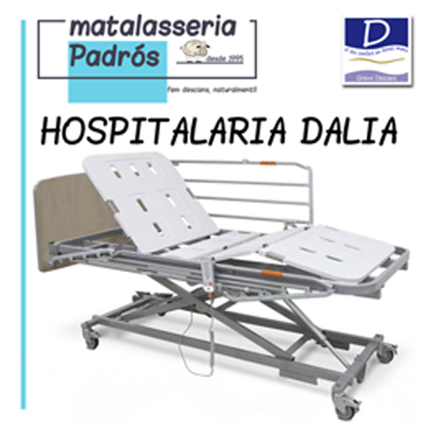 Dalia hospitalaria